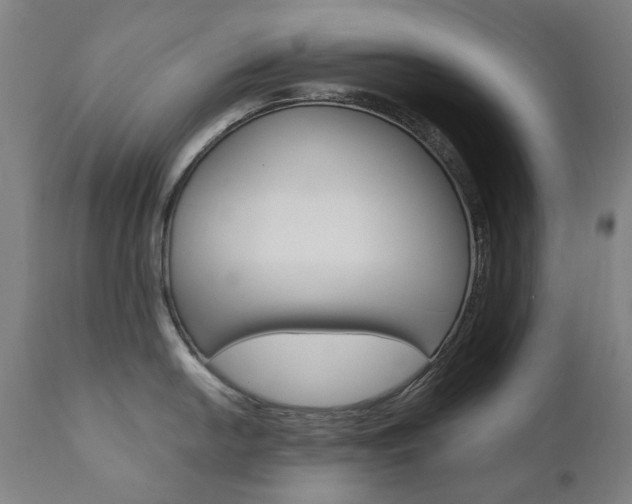 X0000110951054200906191110