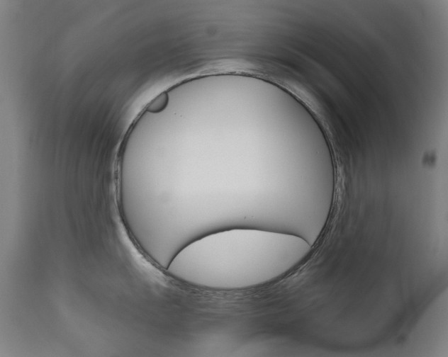 X0000110951055200906191110