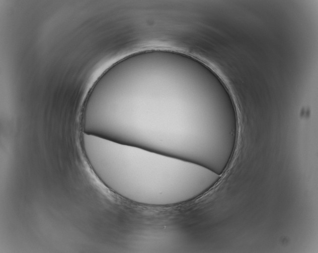 X0000110951056200906191110