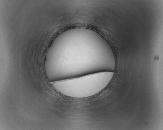 X0000110951057200906191110