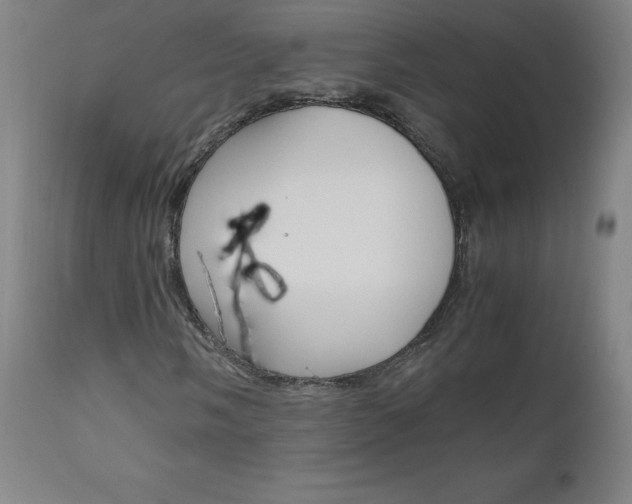 X0000110951058200906191110