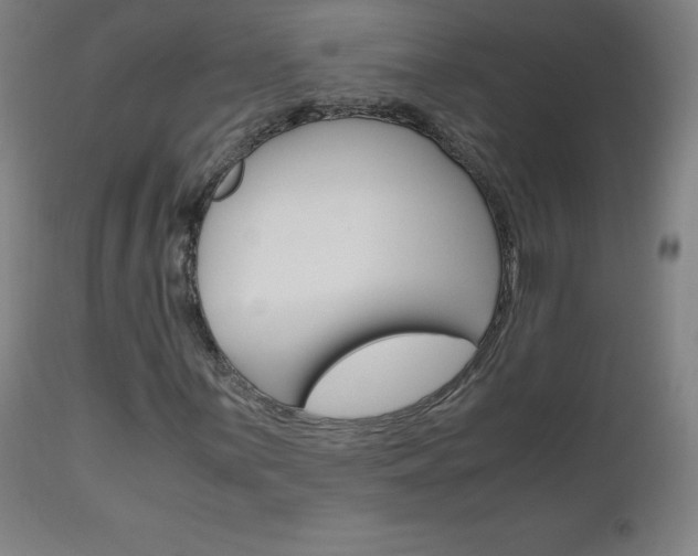 X0000110951059200906191110