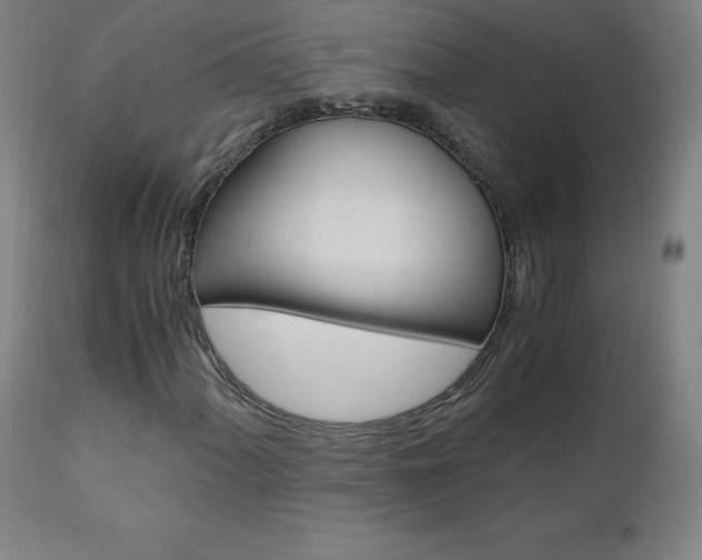 X0000110951060200906191110