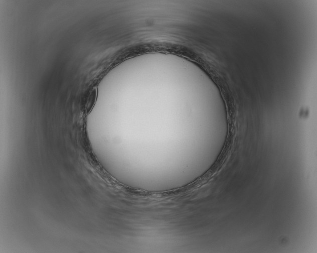 X0000110951061200906191110