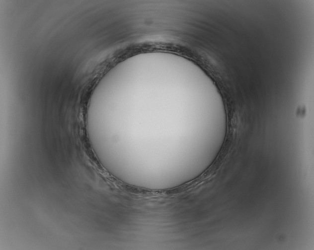 X0000110951062200906191110