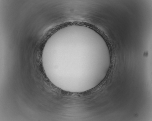 X0000110951063200906191110