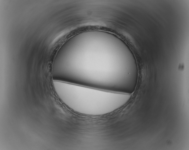 X0000110951064200906191110