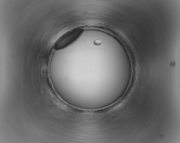 X0000110951065200906191110