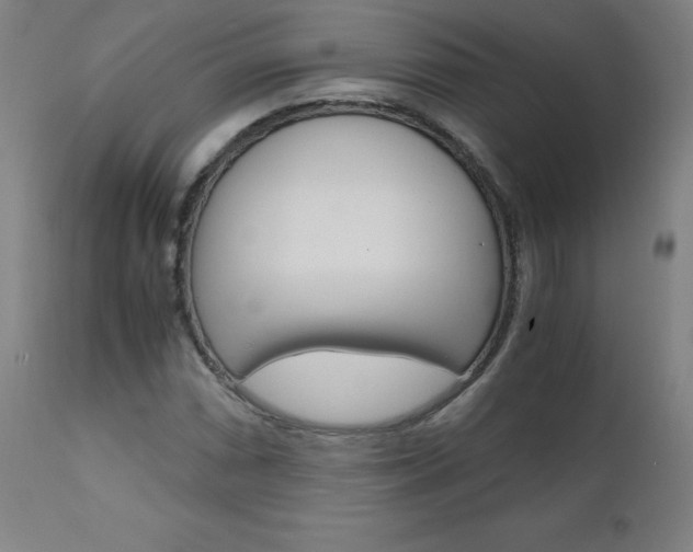 X0000110951066200906191109