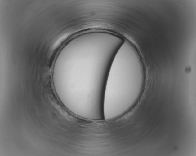 X0000110951067200906191109