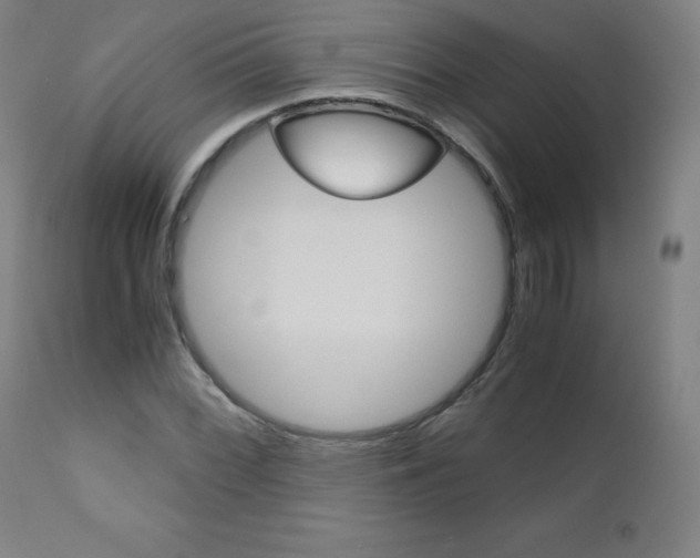 X0000110951068200906191109