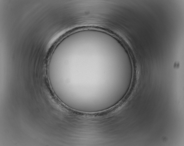 X0000110951069200906191109