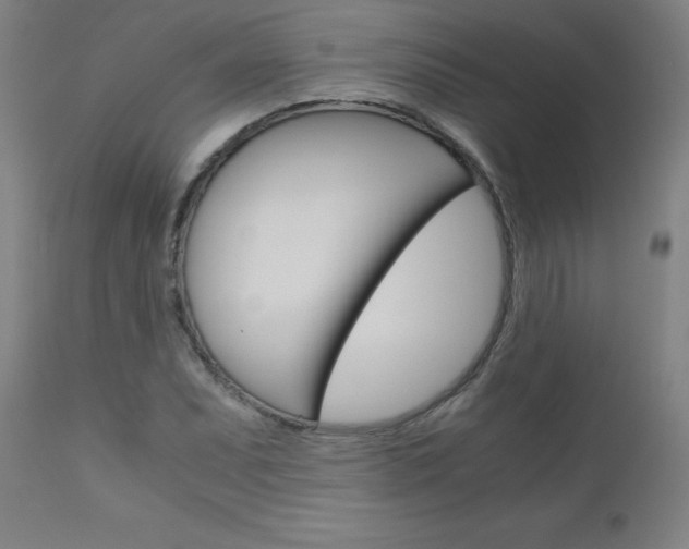 X0000110951071200906191109