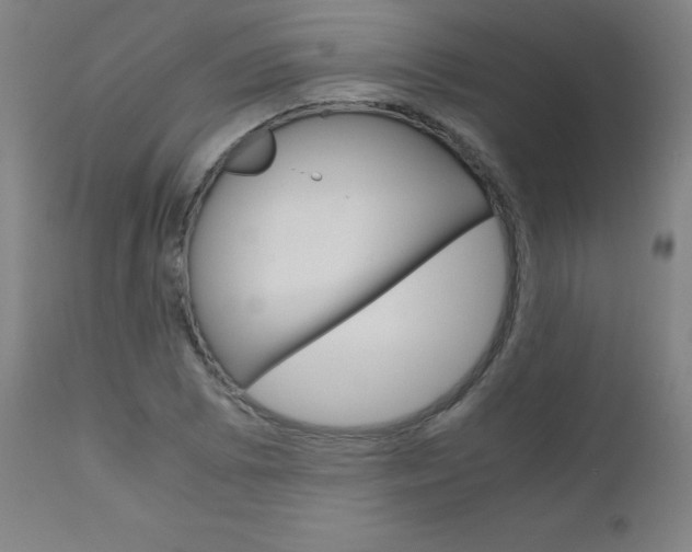 X0000110951073200906191109
