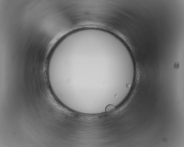 X0000110951074200906191109