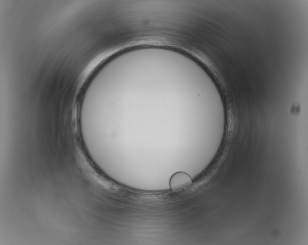 X0000110951078200906191109