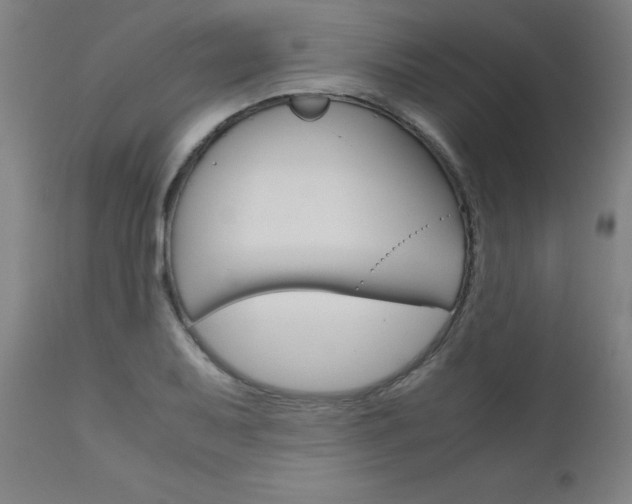 X0000110951079200906191109