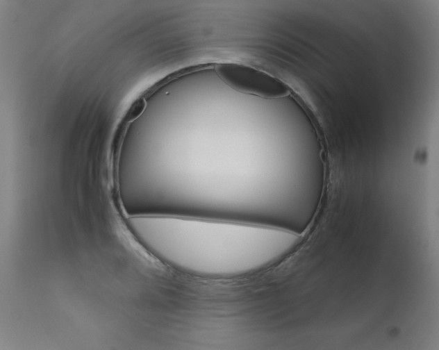 X0000110951080200906191109