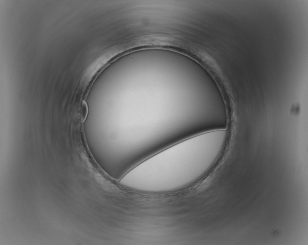 X0000110951081200906191109