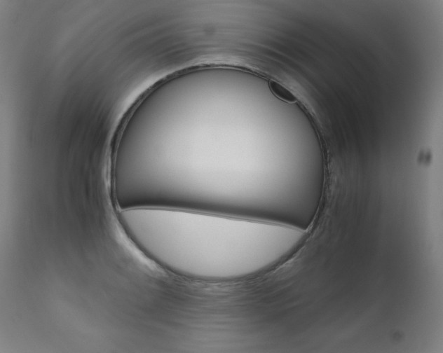 X0000110951084200906191109