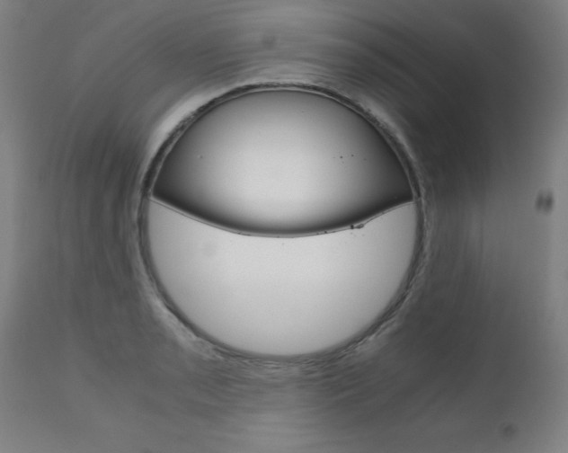 X0000110951085200906191109