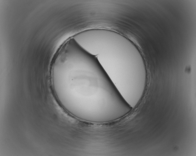 X0000110951087200906191109