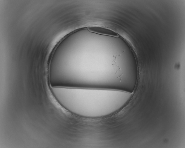 X0000110951088200906191109