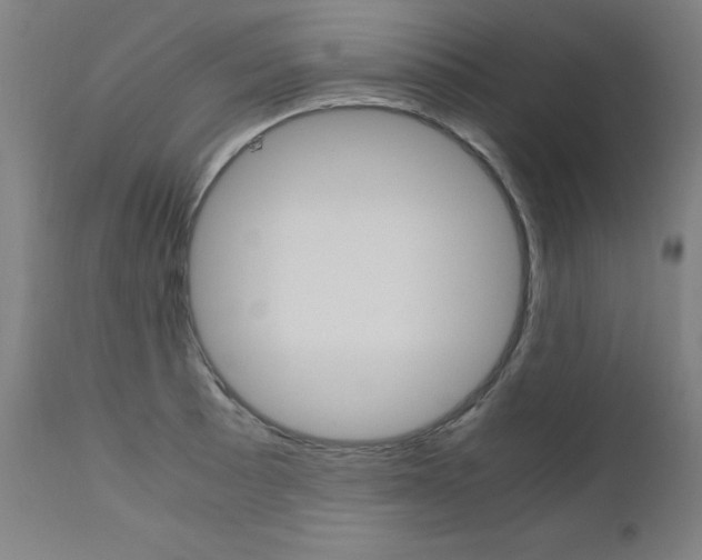 X0000110951089200906191109