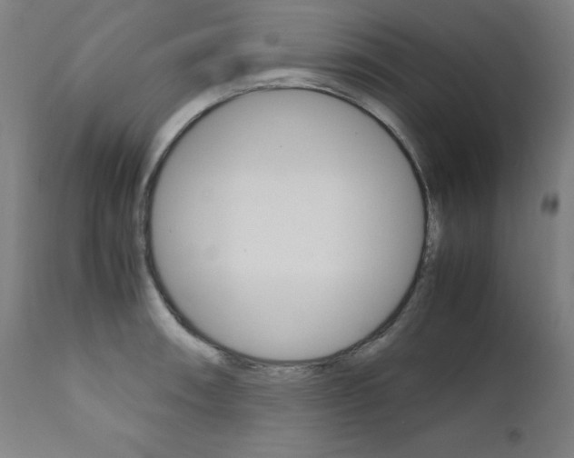 X0000110951090200906191109