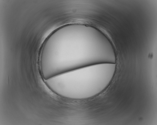X0000110951091200906191109