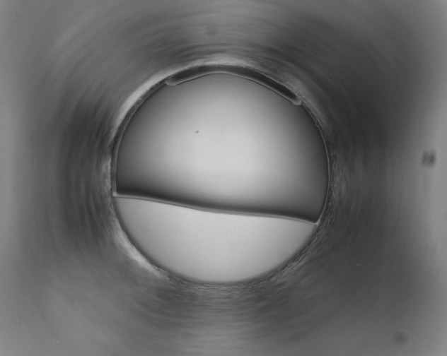 X0000110951092200906191109