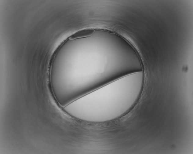 X0000110951093200906191109
