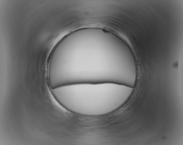 X0000110951095200906191109