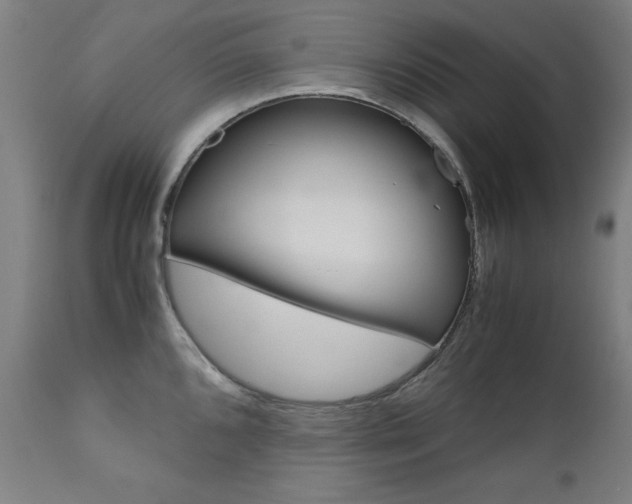 X0000110951096200906191109