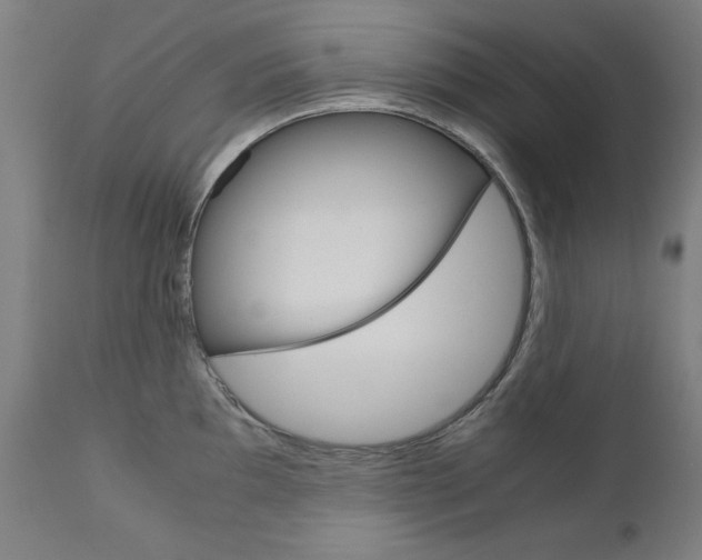 X0000110951097200906191109