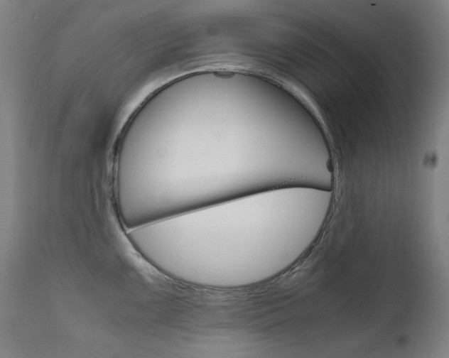 X0000110951099200906191109
