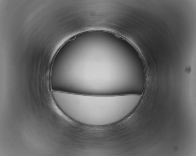 X0000110951100200906191109