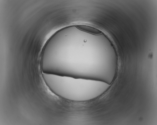 X0000110951102200906191109