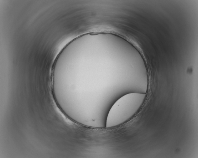 X0000110951103200906191109