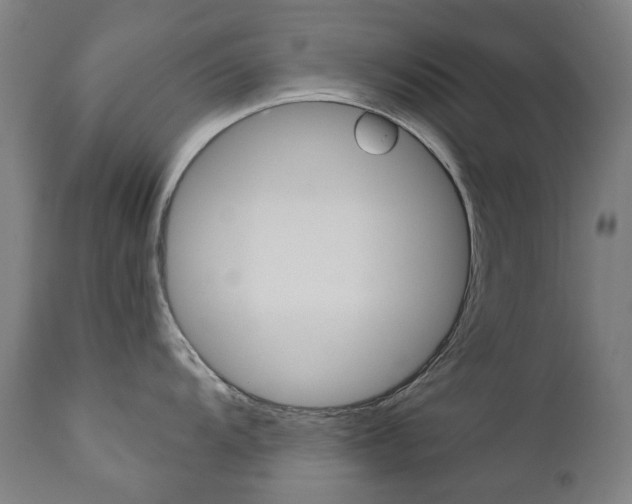 X0000110951104200906191109