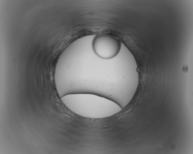 X0000110951106200906191108