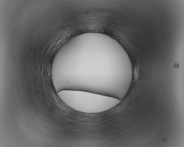 X0000110951107200906191108