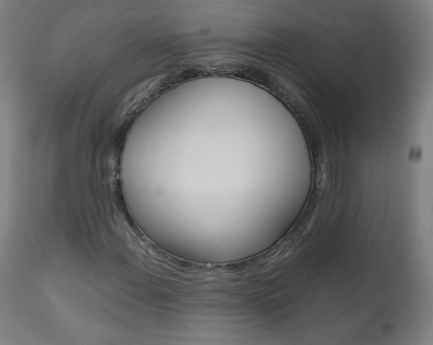 X0000110951108200906191108