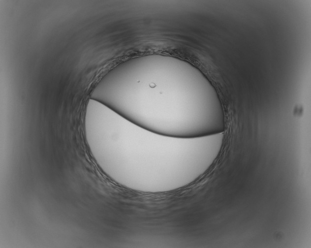 X0000110951109200906191108
