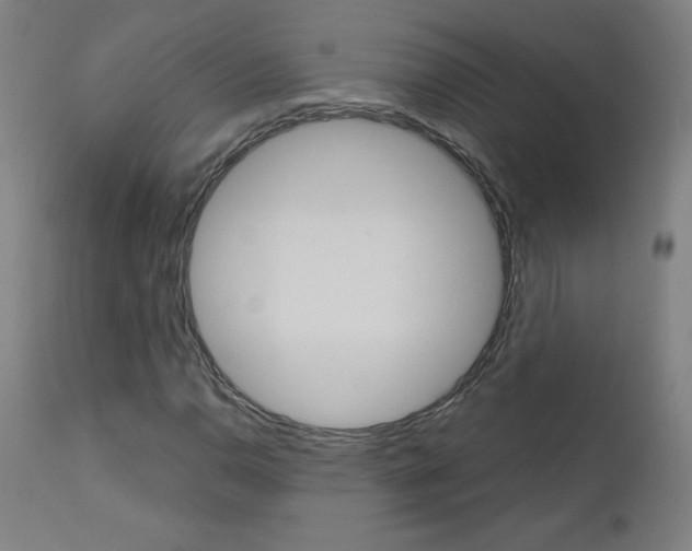 X0000110951110200906191108