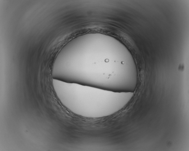 X0000110951111200906191108