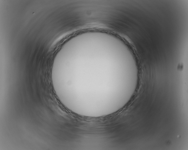 X0000110951112200906191108