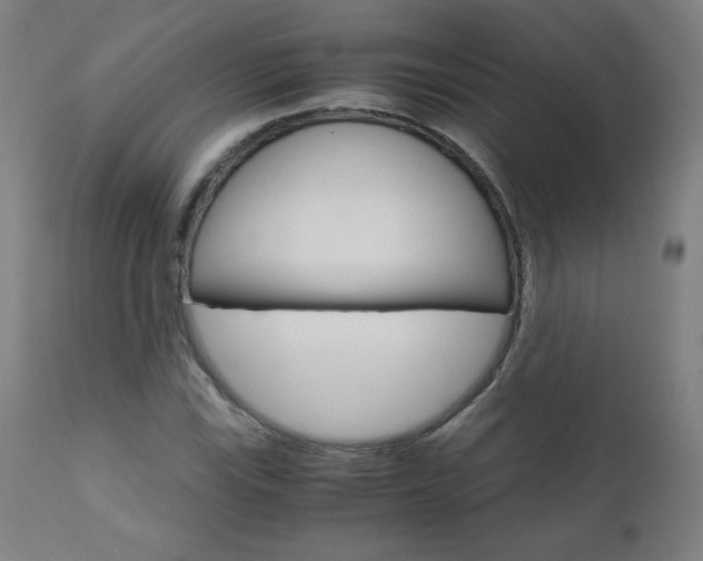 X0000110951115200906191108