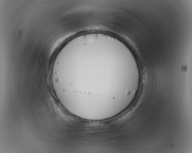 X0000110951117200906191108