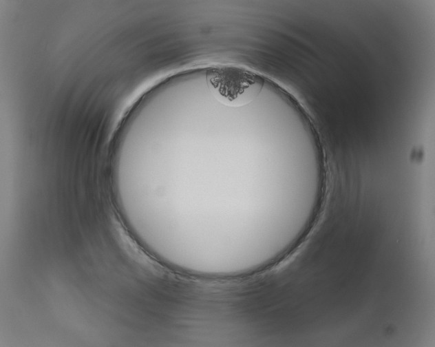 X0000110951118200906191108